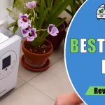 Best Plant Humidifiers