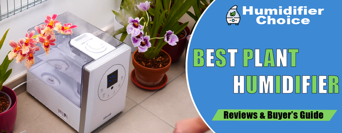 Best Plant Humidifiers