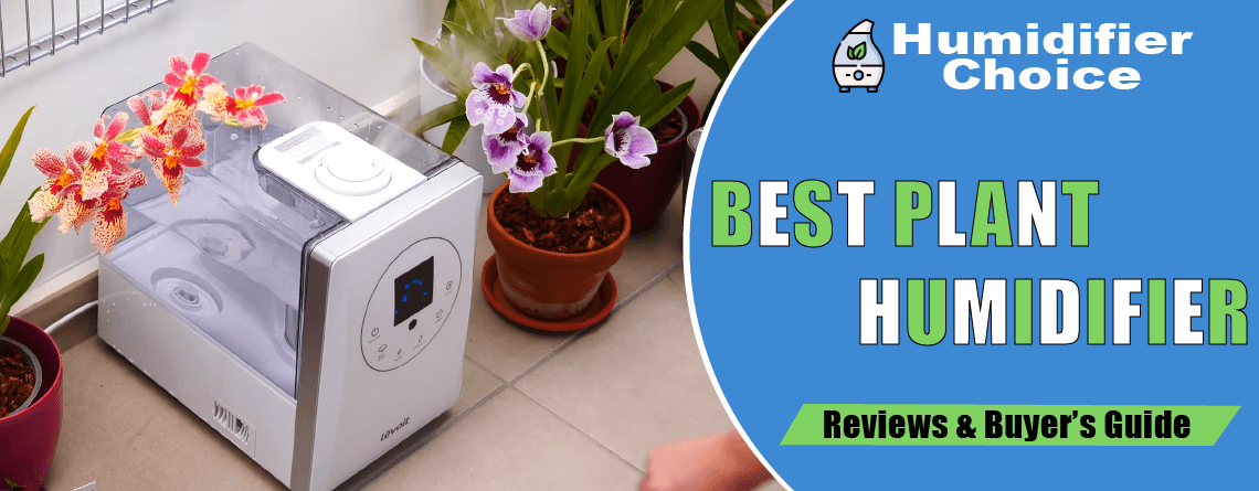 Best Plant Humidifiers