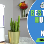 7 Best Humidifier For Nosebleeds and Dry Nose Relief in 2023 – Reviews & Buyer's Guide