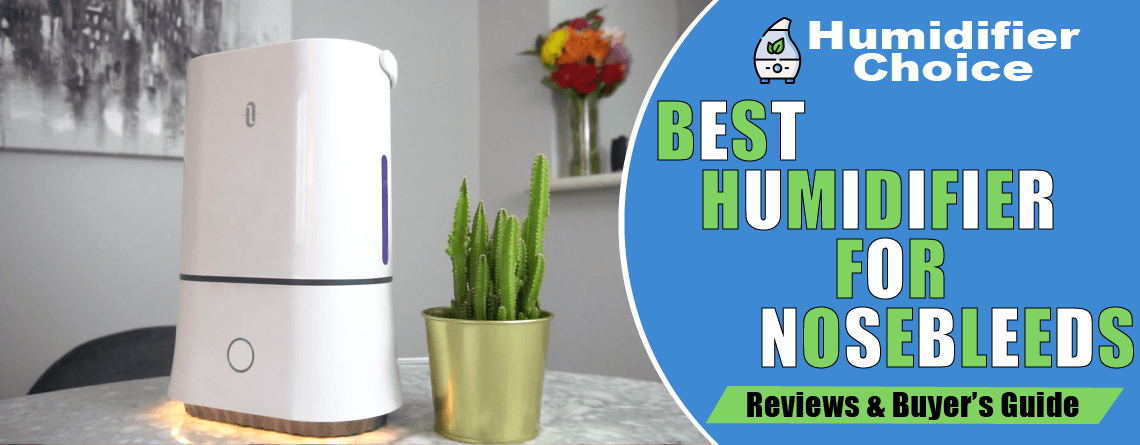 best humidifier for nosebleeds