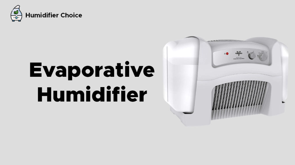 Evaporative Humidifiers