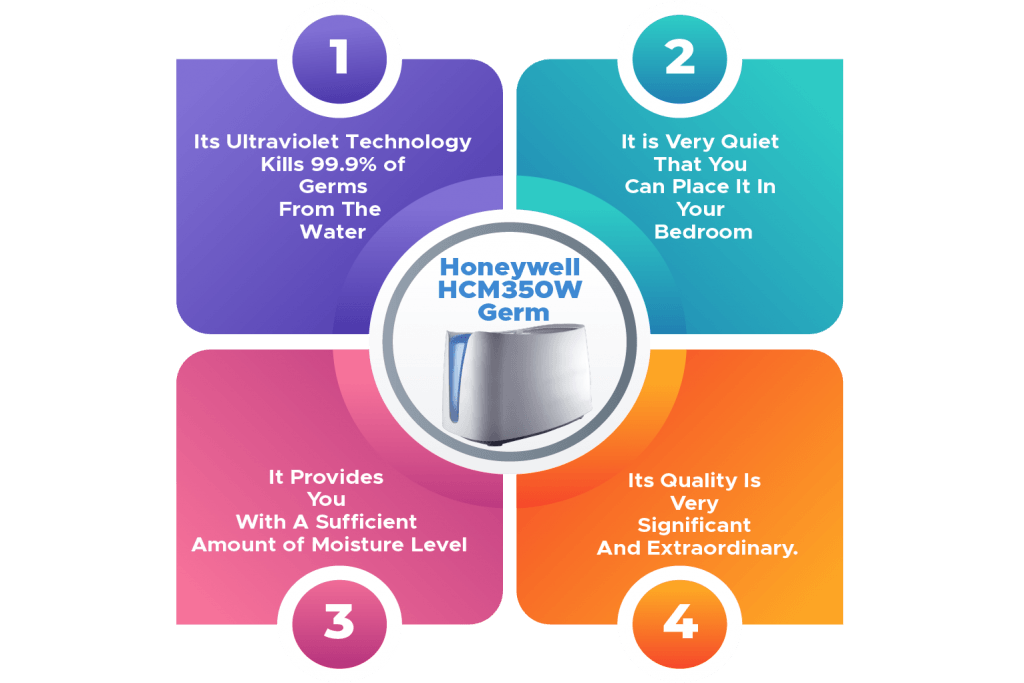 Best Plant Humidifiers Infographics