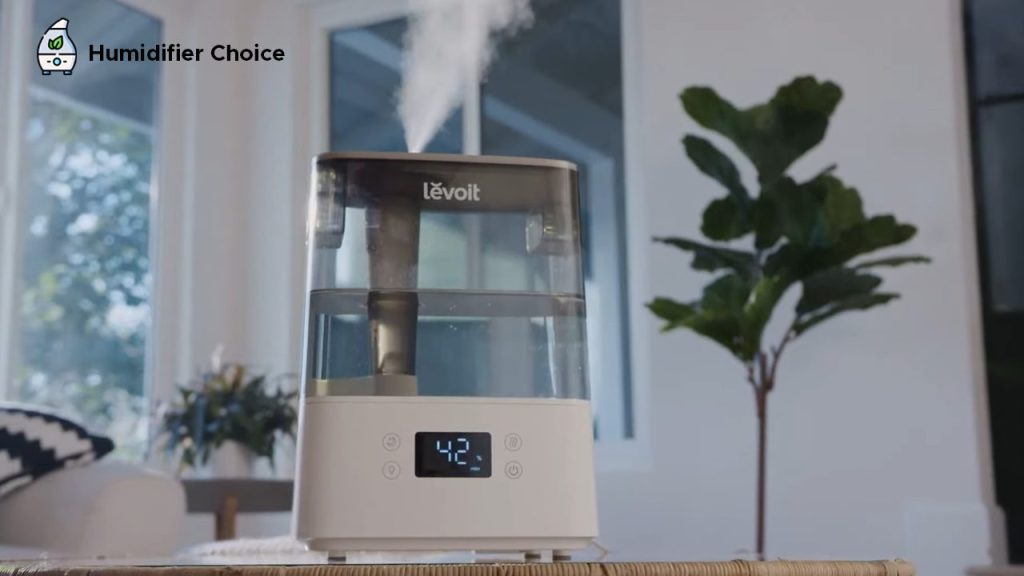 Does Humidifier Increase Oxygen