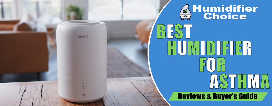 best humidifiers for asthma