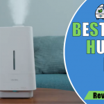 Best Affordable Humidifier For Bedrooms in 2023 (Control Moisture Level & Removes Dry Air)