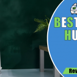 7 Best Humidifier For Singers to Protect Vocal Cords in 2023 - Reviews & Buyer's Guide