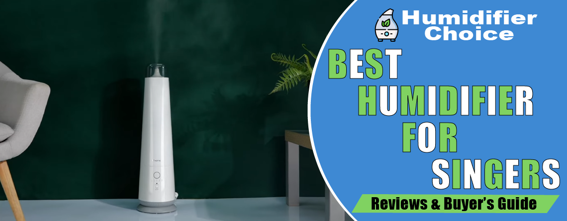 best humidifier for singers