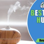 Best Humidifier For Babies and Toddlers 2022 - Reviews & Buyer's Guide