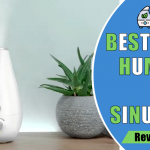 Best Humidifier For Sinus Congestions & Problems - Reviews & Buyer's Guide