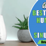 best humidifier for sinus problems