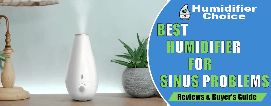 best humidifier for sinus problems