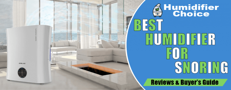 best humidifier for snoring