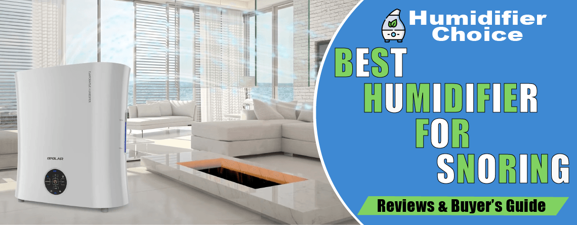 best humidifier for snoring