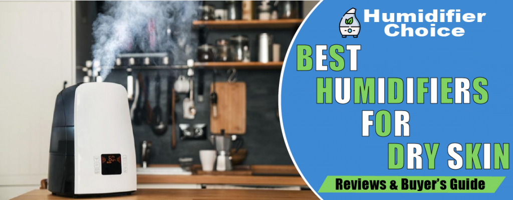 Best Humidifiers For Dry Skin