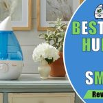 Best Humidifiers for Small Rooms