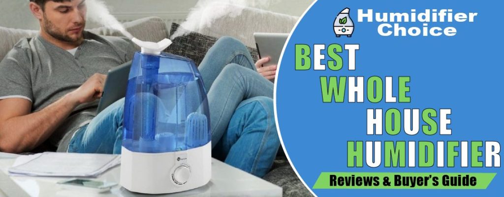 best whole house humidifiers