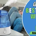 8 Best Whole House Humidifiers in 2023- Reviews & Buyer's Guide