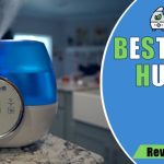 8 Best Humidifier For Cough and Cold Relief in 2022 - Reviews & Buyer's Guide