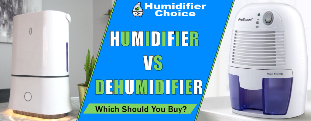 humidifier vs dehumidifier