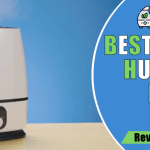 best humidifier for dry eyes