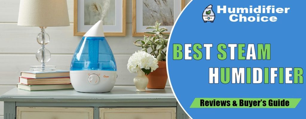 best steam humidifiers