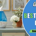 best steam humidifiers