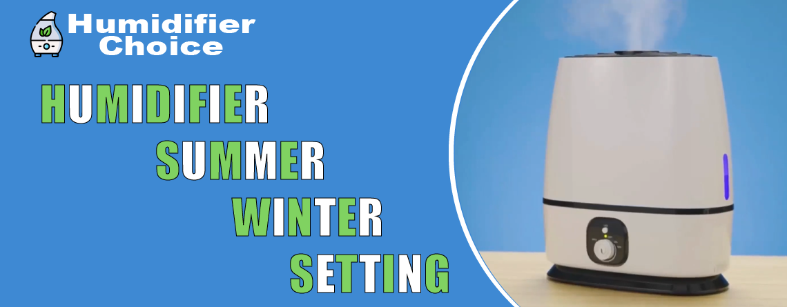 Humidifier Summer Winter Setting
