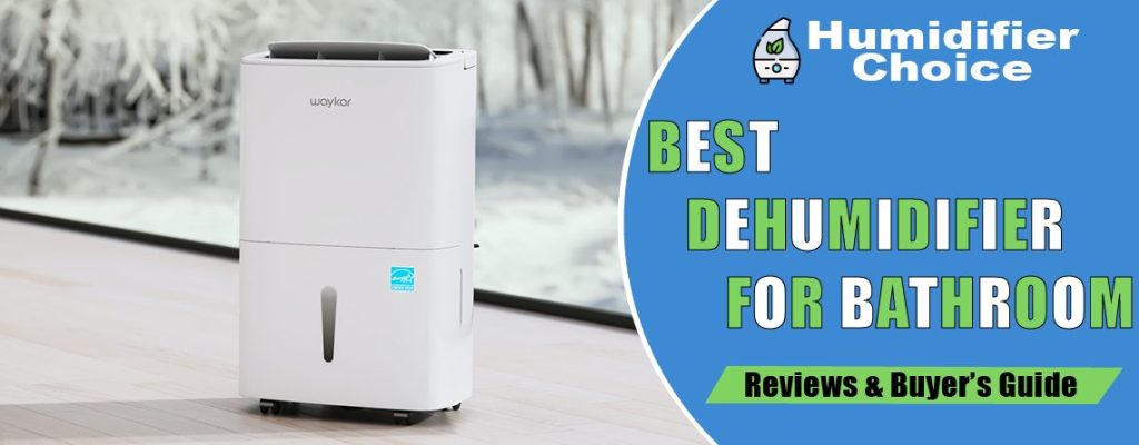 Best dehumidifier for bathroom