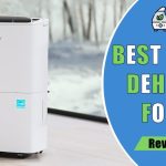 Best Dehumidifier for Bathroom in 2025 | Top Picks for Moisture Control Best dehumidifier for bathroom
