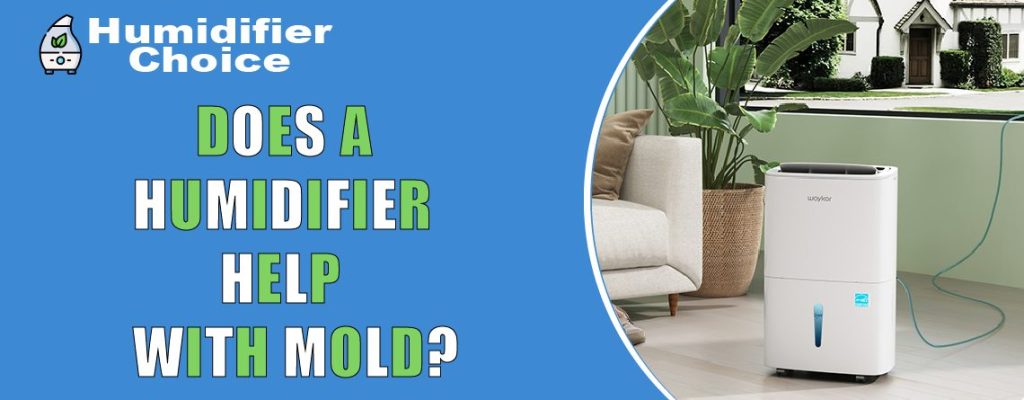 Does a Dehumidifier Help with Mold