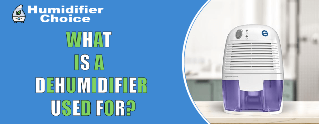 What is a dehumidifier used for